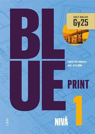 Blueprint nivå 1