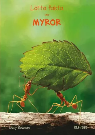 Lätta fakta om myror