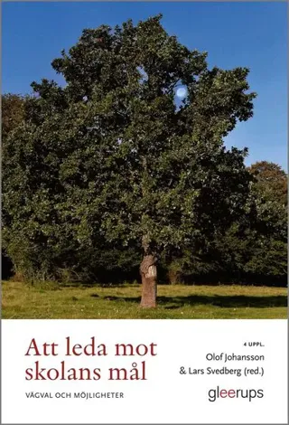 Att leda mot skolans mål : vägval och möjligheter