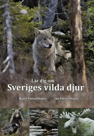 Lär dig om Sveriges vilda djur