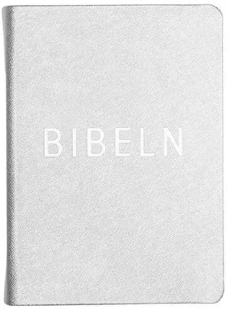 Bibel konfirmand silver