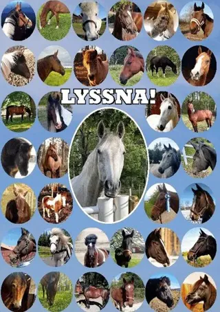 Lyssna! : En bok av hästar för människor