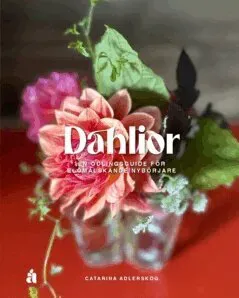 Dahlior : En odlingsguide för blomälskande nybörjare