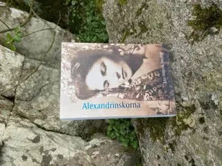 Alexandrinskorna