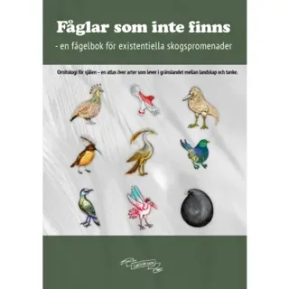 Fåglar som inte finns : en fågelbok för existentiella skogspromenader