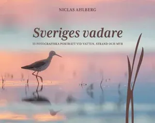 Sveriges vadare : 33 fotografiska porträtt vid vatten, strand och myr