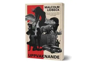 Uppvaknande
