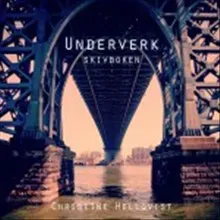 Underverk : skivboken