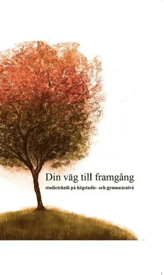 Din väg till framgång : studieteknik på högstadie- och gymnasienivå