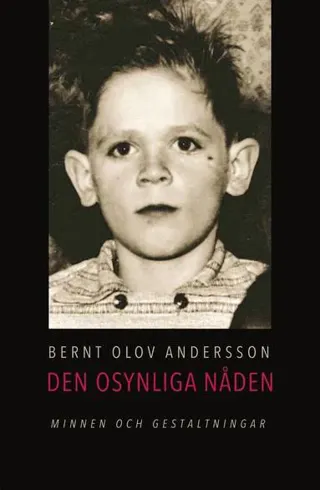 Den osynliga nåden : minnen och gestaltningar ur mitt sociala arv