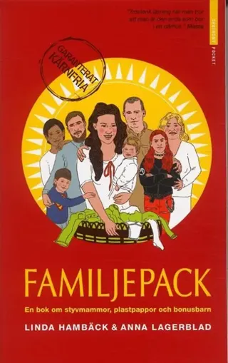 Familjepack : en bok om styvmammor, plastpappor och bonusbarn