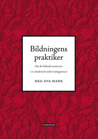 Bildningens praktiker : om de bildande momenten i en akademisk undervisningsprocess