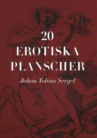 20 erotiska planscher