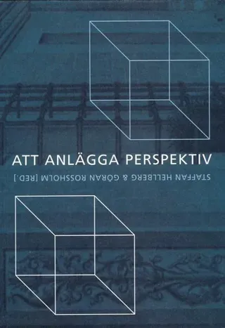 Att anlägga perspektiv