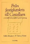 Från fastighetskris till Castellum : en studie av gestaltning och styrning