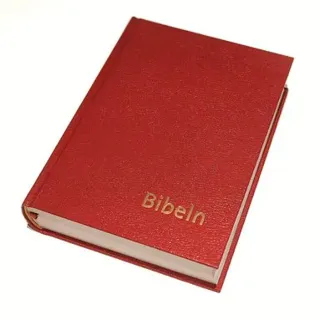 Bibeln konstskinn normal
