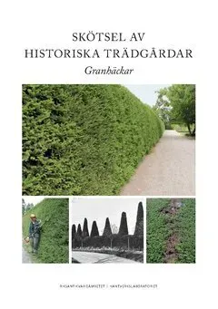 Skötsel av historiska trädgårdar : Granhäckar