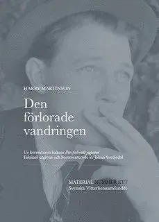 Den förlorade vandringen