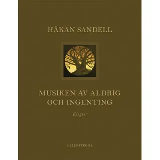 Musiken av aldrig och ingenting : elegier