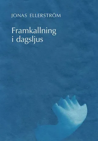 Framkallning i dagsljus