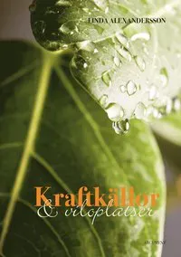 Kraftkällor och viloplatser