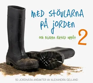 Med Stövlarna På Jorden Och Blicken Riktad Uppåt 2