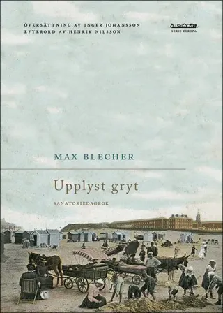 Upplyst gryt : sanatoriedagbok