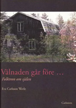 Vålnaden går före : folktron om själen