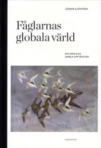Fåglarnas globala värld : Nya rön och gammal kunskap