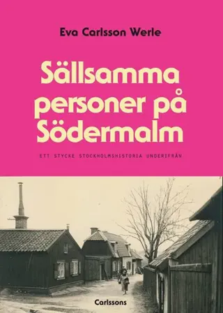 Sällsamma personer på Södermalm : ett stycke Stockholmshistoria underifrån