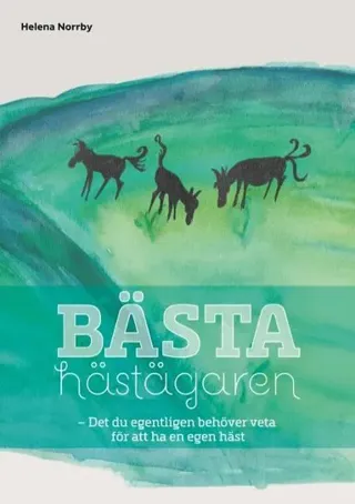 Bästa hästägaren : Det du egentligen behöver veta för att ha en egen häst