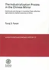 The Industrialization Process in the Chinese Mirror