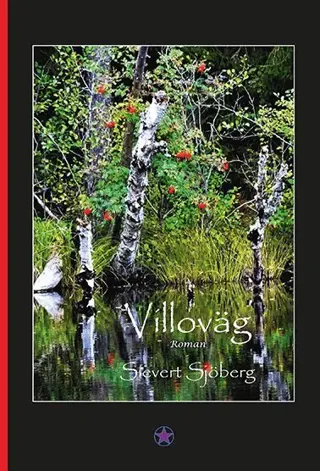 Villoväg