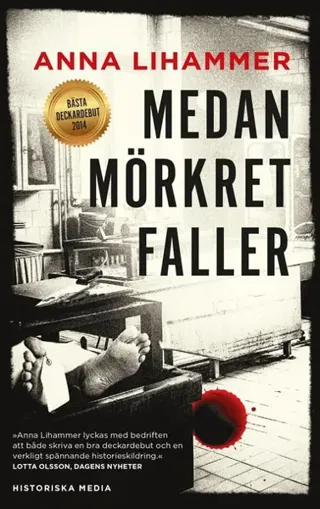 Medan mörkret faller