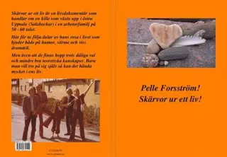 Skärvor ur ett liv