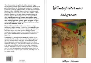 Tankefällornas labyrint