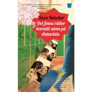 Det finns råttor överallt utom på Antarktis