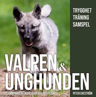 Valpen & unghunden : teamwork för en följsam och trygg hund