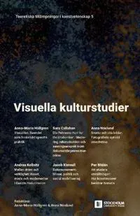 Visuella kulturstudier