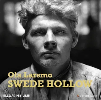 Swede Hollow av Ola Larsmo