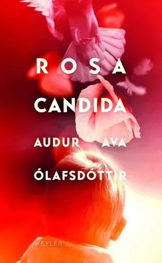 Rosa candida