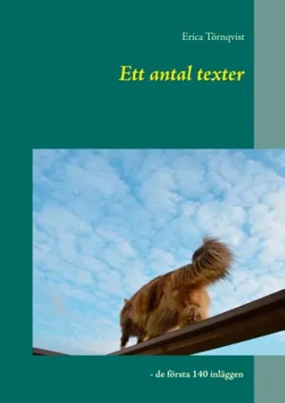 Ett Antal Texter - De Första 140 Inläggen