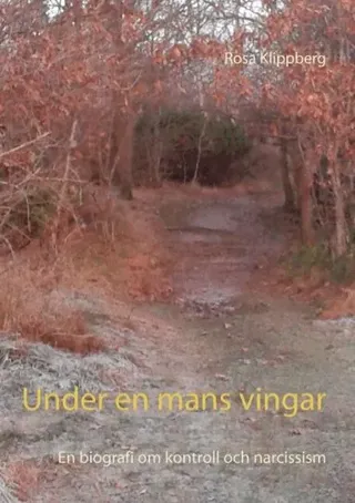 Under En Mans Vingar