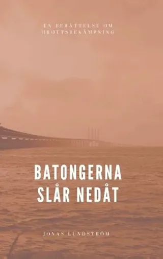 Batongerna slår nedåt : en berättelse om brottsbekämpning