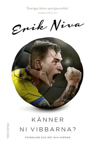 Känner ni vibbarna? : fotbollen och det nya Sverige