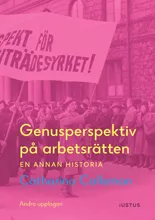 Genusperspektiv på arbetsrätten : en annan historia