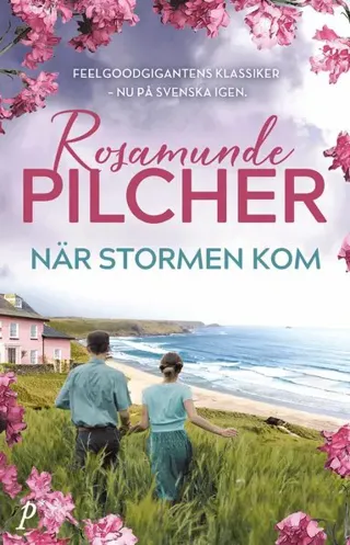 När stormen kom