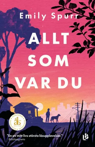 Allt Som Var Du