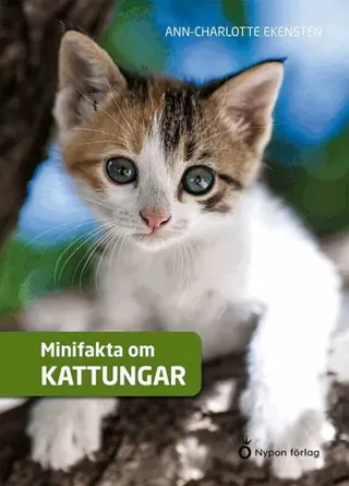 Minifakta om kattungar
