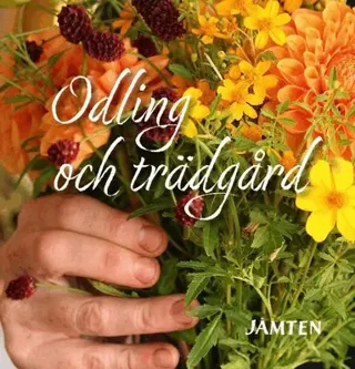 Jämten 2025
